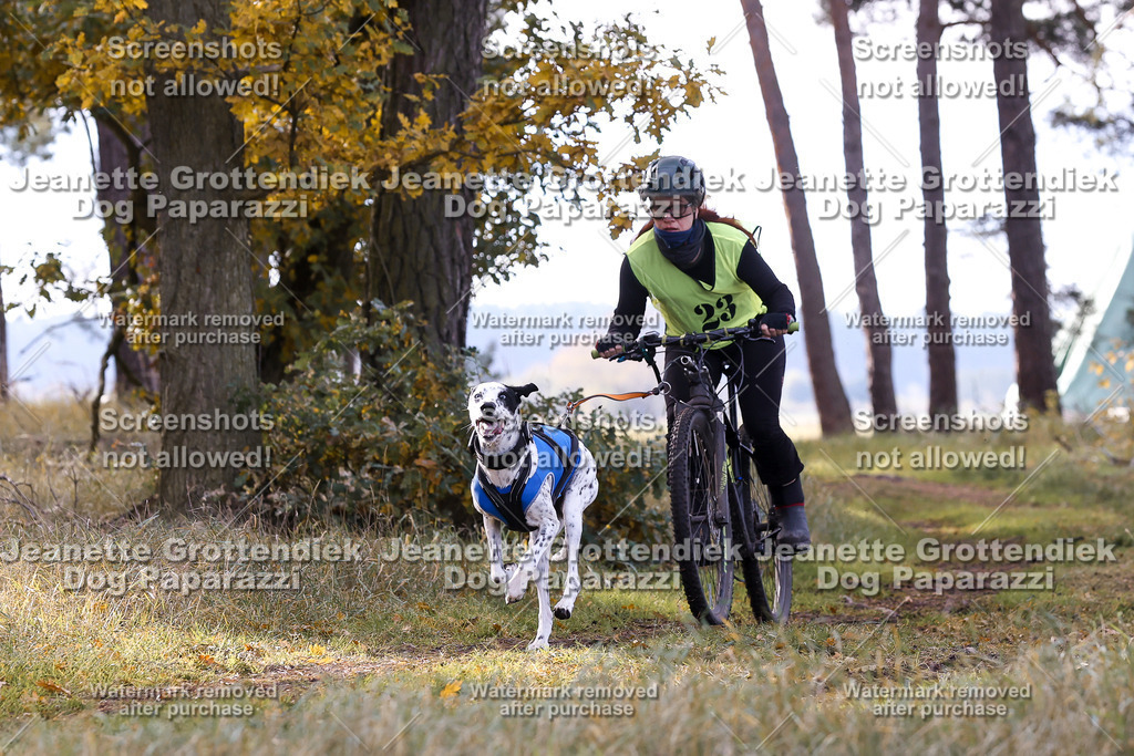 Dog Paparazzi - Elsholz 25 -108 | Dog Paparazzi Jeanette Grottendiek Fotografie & Videografie - Realisiert mit Pictrs.com