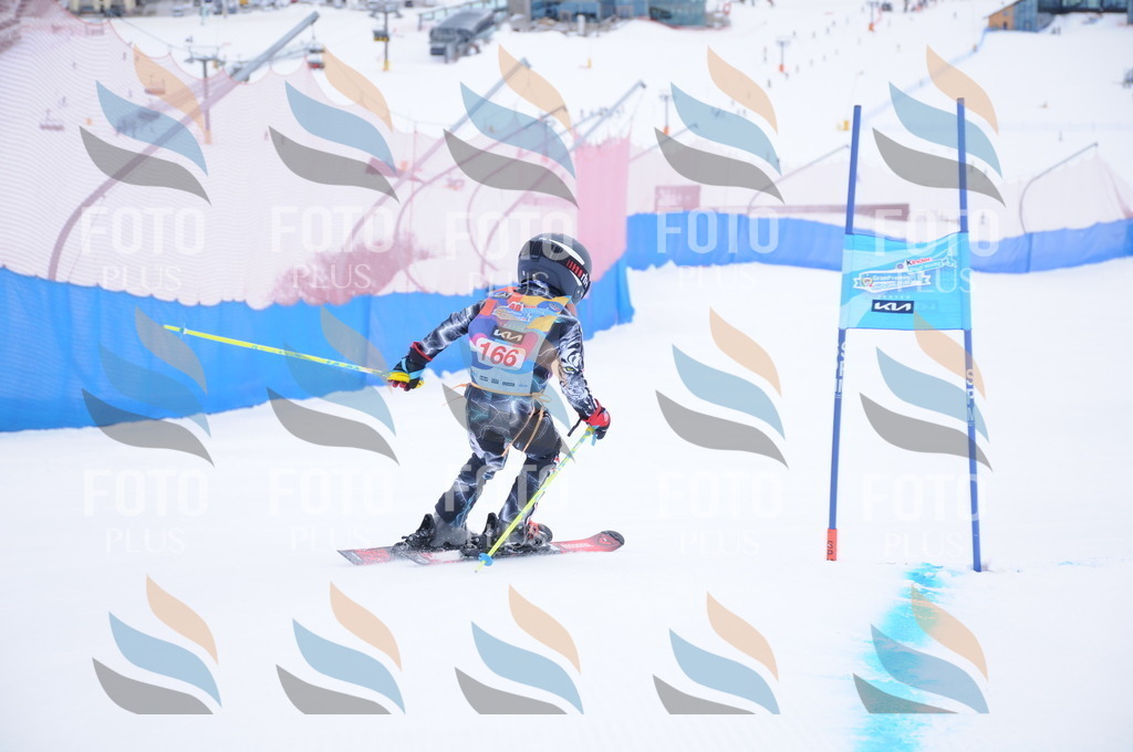 DSC_8893 | holidayphoto