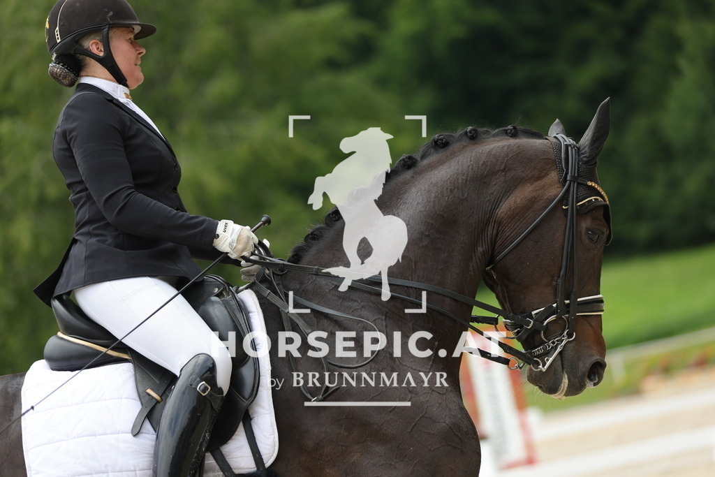 0P6A4486 | Willkommen bei Brunnmayr - Design & Fotografie – Ihrem Spezialisten für Reitturniere und Pferdeveranstaltungen in Oberösterreich, Salzburg und Bayern! Seit über 17 Jahren sind wir leidenschaftlich dabei.