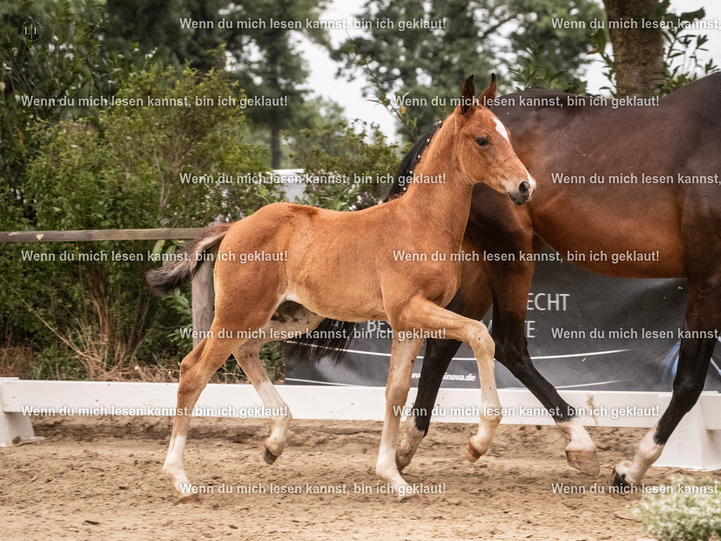 A10I6353 | photographylinaismer - Realisiert mit Pictrs.com