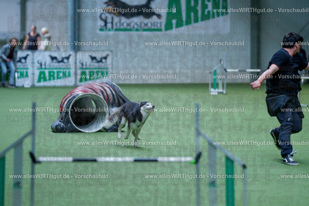@allesWIRTHgut_Tierfotografie - www.allesWIRTHgut.de - 2604251520-7R505803 | Professionelle Tierfotografie in Mönchengladbach von Daniel Wirth (allesWIRTHgut). Liebevolle & natürliche Bilder von Hunden & Katzen für unvergessliche Erinnerungen.