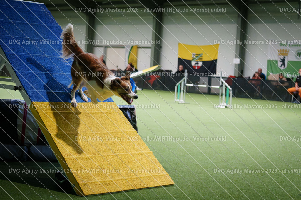 allesWIRTHgut_Tierfotografie-DVG_Agility_Masters_2026-16_51-7R508875 | Professionelle Tierfotografie in Mönchengladbach von Daniel Wirth (allesWIRTHgut). Liebevolle & natürliche Bilder von Hunden & Katzen für unvergessliche Erinnerungen.