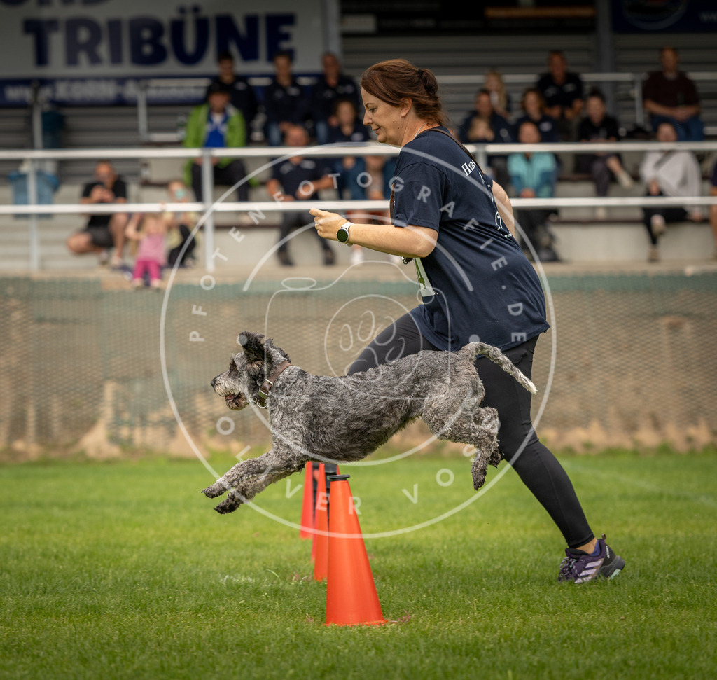 Pfotenfotografie_DV3A1774 | Hundefotografie, Tierfotograf, Pfotenfotografie, Fotoshooting Hund, Hunde Portrait, Hundesport, Hundeportraits, Heideshooting, Hunde, Sportfotograf, Hundefotograf, Turnierhundsport, THS,  - Realisiert mit Pictrs.com