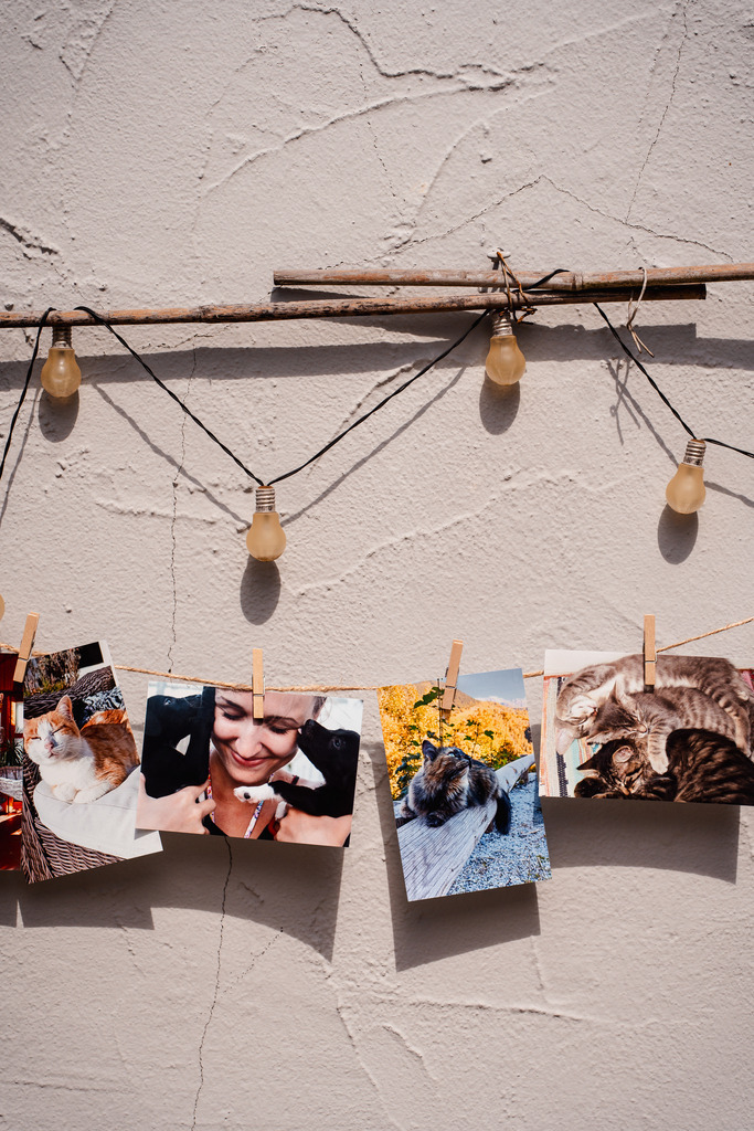 20260426-47 | MuT (Mensch und Tier) mit Mona - Fotografie und Tierkommunikation - Realisiert mit Pictrs.com