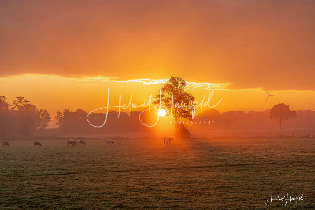 DSC00462 | Landschaftsfotografie, Naturfotografie - Realisiert mit Pictrs.com