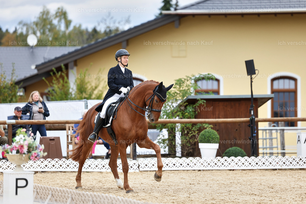6-090-AMATUER-DRESSUR S_  -StoibPH-3598 | working equitationturnier fotograf videograf stoibphotography marixx film working equitation deutschland reitsport turnierfotografie eventfotografie equestrian events
