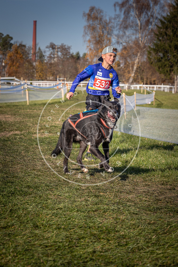 CaniXpix_0L8A7364 | Hundefotografie, Tierfotograf, Pfotenfotografie, Fotoshooting Hund, Hunde Portrait, Hundesport, Hundeportraits, Heideshooting, Hunde, Sportfotograf, Hundefotograf, Turnierhundsport, THS,  - Realisiert mit Pictrs.com