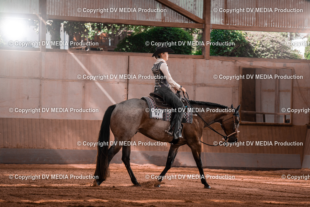 NE100320 | dv-media-shop - Realisiert mit Pictrs.com