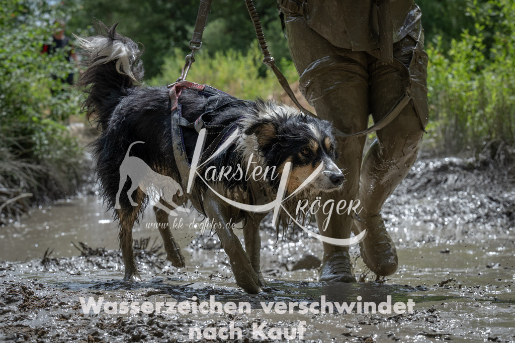 1402_ZZ90542 | kk-dogfotos