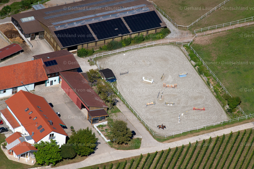 3902795 | Reiterhof, Weingut, Untergruppenbach