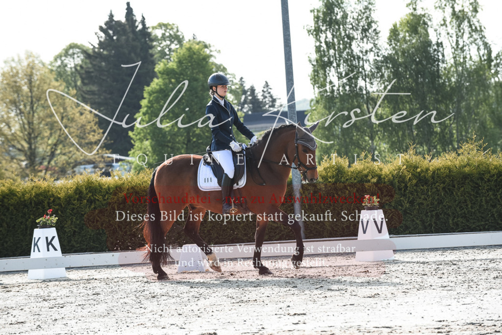 20230518_JK-Röhrsdorf-09-0831 | Pferde- und Turnierfotografie in Westsachsen. Pferdeportraits, Auftragszeichnungen und intuitive Kunst.