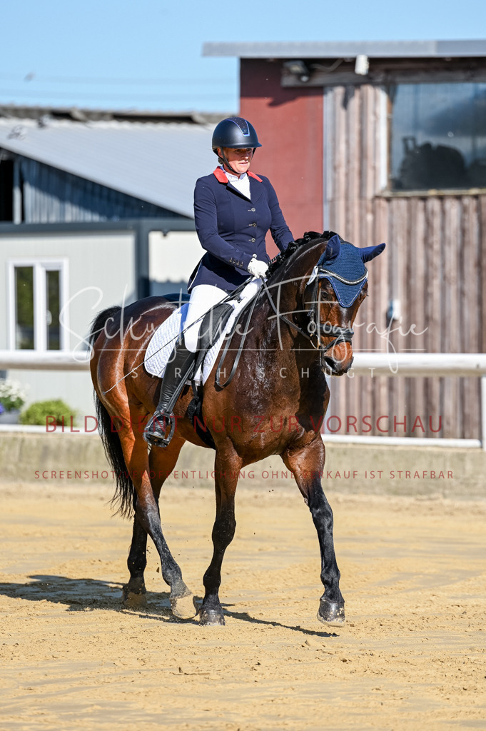 Schugtsche-Aluta25-51.Dressurpferdeprf.M-18 | Schugtsche Fotografie - Realisiert mit Pictrs.com