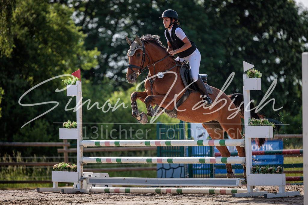 20260529-_3LI0125 | Tierfotografie Pferde, Hunde, Katzen, Haustiere.
Turnierfotografie Reitturniere, Reiten, Springreiten, Dressur in Hanau, dem Main-Kinzig-Kreis und dem Rhein-Main- Gebiet um Frankfurt