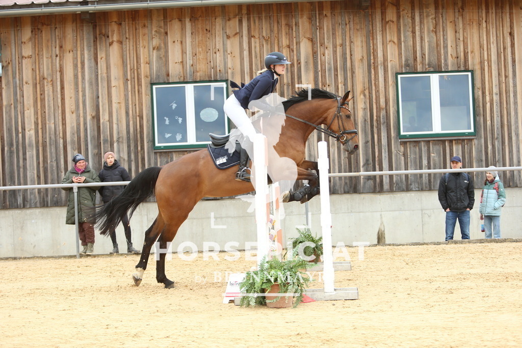 DL2Q1965 | Willkommen bei Brunnmayr - Design & Fotografie – Ihrem Spezialisten für Reitturniere und Pferdeveranstaltungen in Oberösterreich, Salzburg und Bayern! Seit über 17 Jahren sind wir leidenschaftlich dabei.