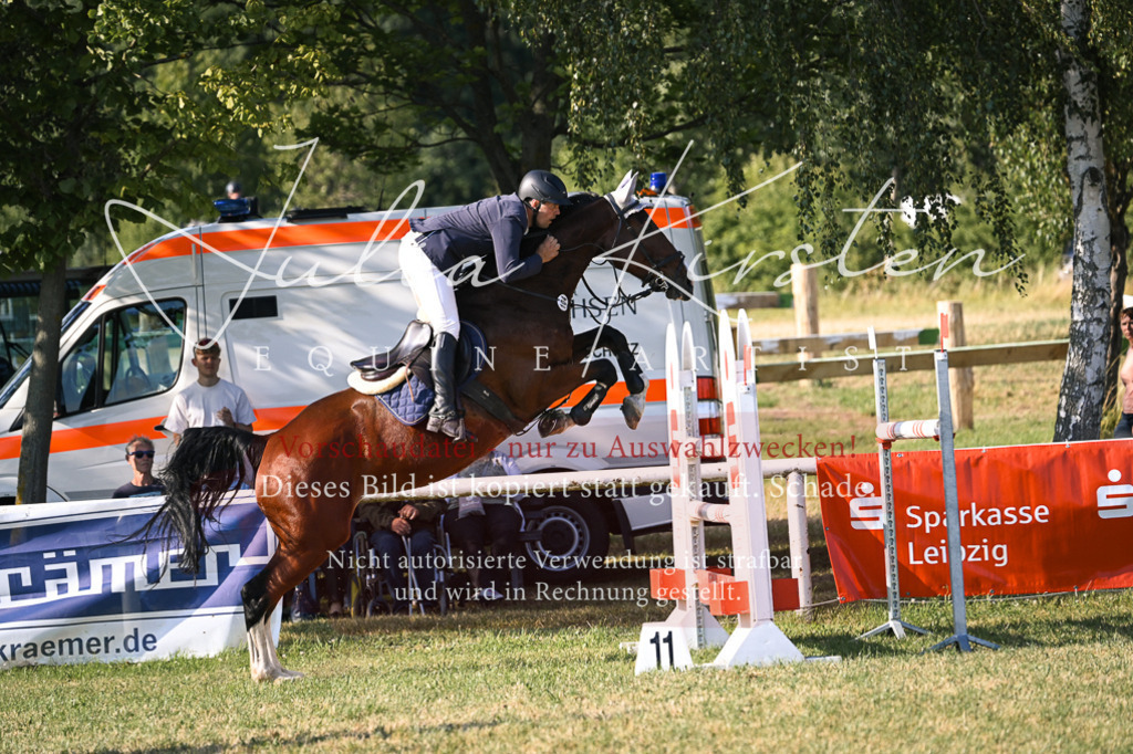 DSC_1641 | Pferde- und Turnierfotografie in Westsachsen. Pferdeportraits, Auftragszeichnungen und intuitive Kunst.