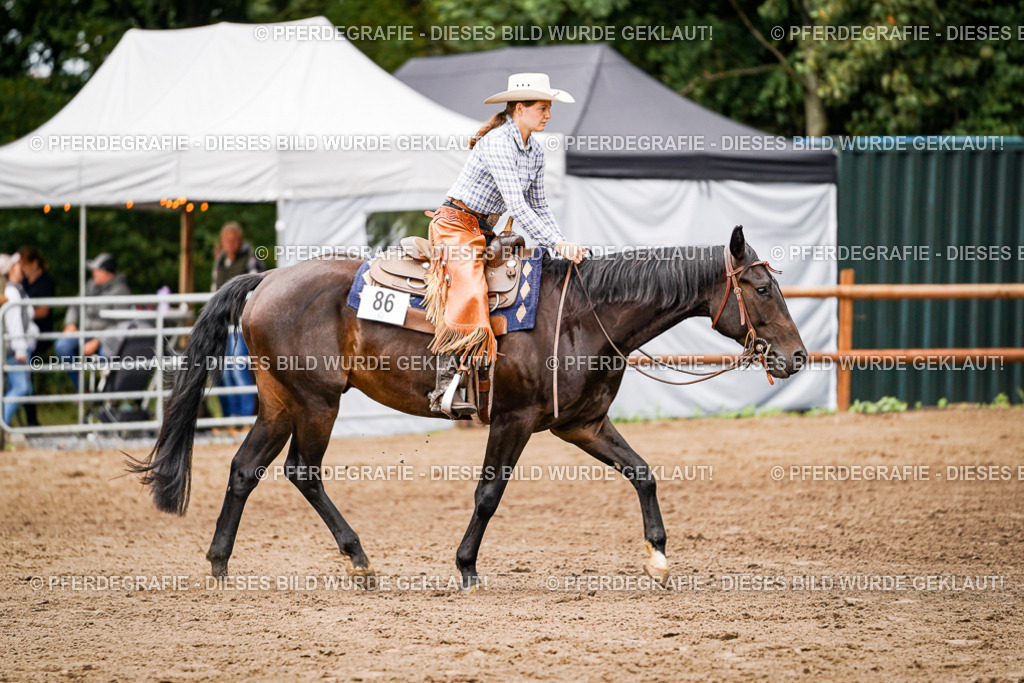 DSC08179 | Pferdegrafie