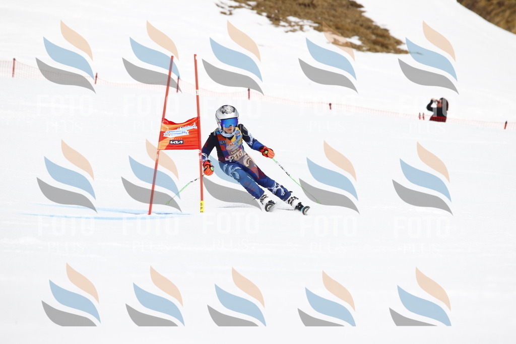 _U3G5407 | holidayphoto