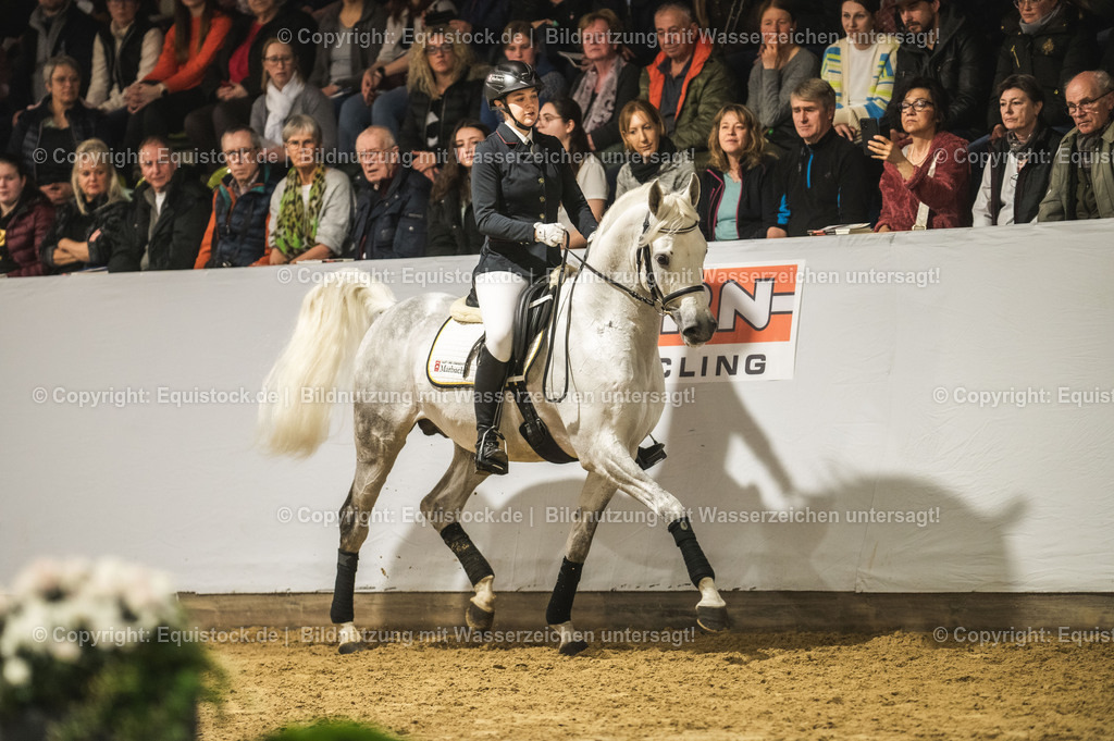 20240302_Hengstvorstellung_Marbach_TOMsPiC_0992 | equistock