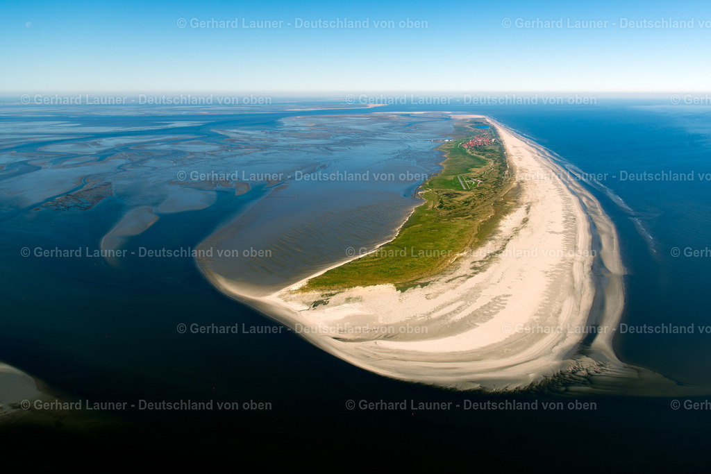 3800563 | Juist Nationalpark Niedersächsisches Wattenmeer