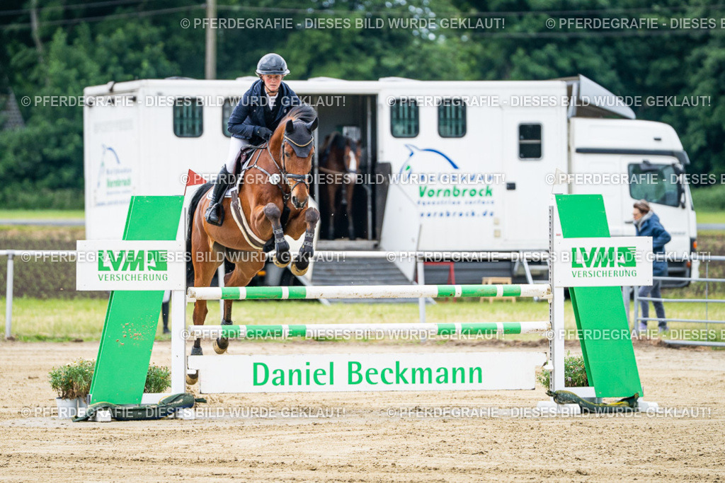 DSC04563 | Pferdegrafie