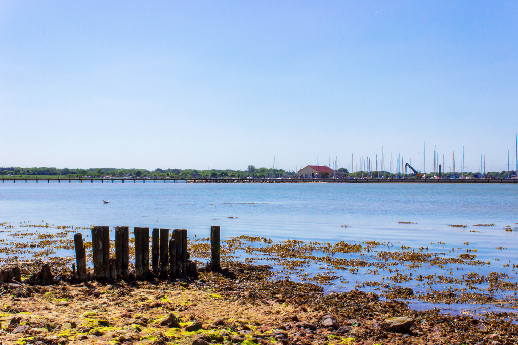 0026- Wackerballig - Yachthafen | Kuratierte Ostsee Wandbilder in hoher Qualität (Leinwand, Acrylglas). Für Zuhause, Büro & Praxis. Fairer Preis & Zahlung auf Rechnung. Jetzt entdecken! - Realisiert mit Pictrs.com