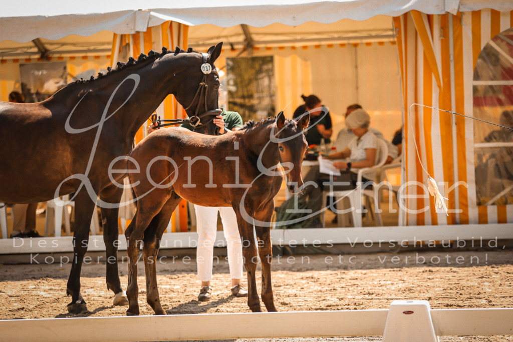 07.DoWBS00042 | Leoni Ertmer Photography - Realisiert mit Pictrs.com