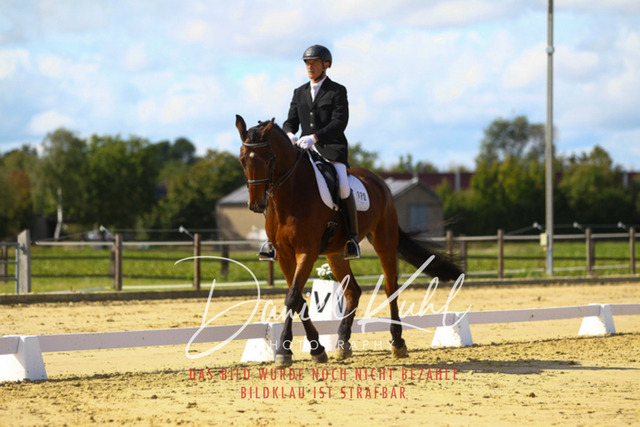 DKP44226 | Turniersportfotografie; Pferdefotografie; Dressurfotografie