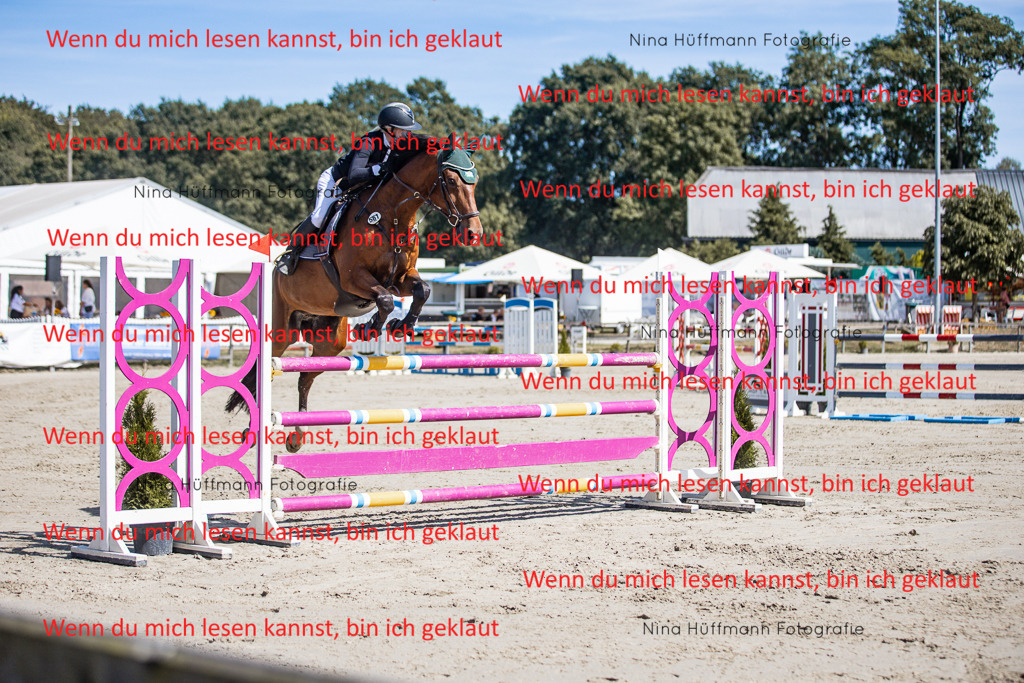 BK1A6845 | Turnierbilder Turnierfotos Nina Hüffmann Turnierfotografie Pferdefotografie Tierzeichnung Haustierzeichnung Pferdezeichnung Hundezeichnung Videograf  - Realisiert mit Pictrs.com