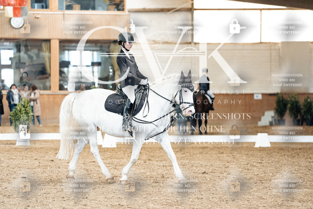 CK900338 | Turnierfotografie Pferdefotografie Trier Rheinland-Pfalz Pferdesport Reitsport Tierfotografie Sportfotografie Pferdevideo Pferdevideografie Equestrianvideography equestrianphotography  - Realized with Pictrs.com