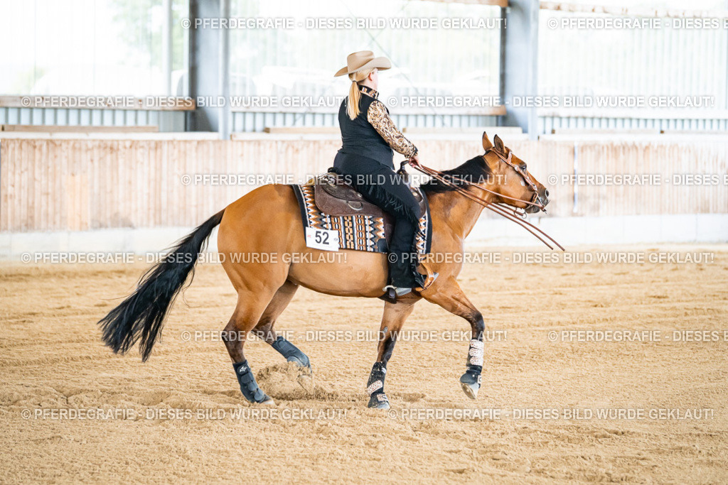 DSC05306 | Pferdegrafie