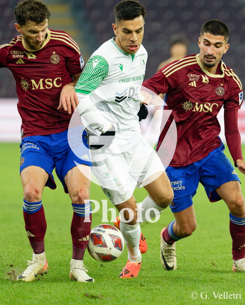 DSC_4576 | Velletri Photo