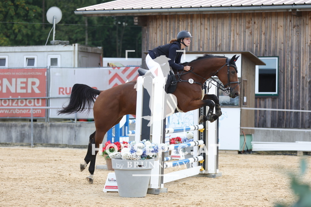 0P6A5139 | Willkommen bei Brunnmayr - Design & Fotografie – Ihrem Spezialisten für Reitturniere und Pferdeveranstaltungen in Oberösterreich, Salzburg und Bayern! Seit über 17 Jahren sind wir leidenschaftlich dabei.