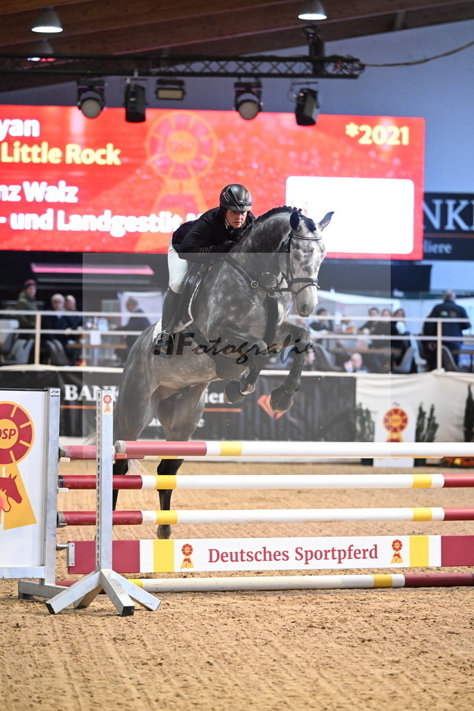 Askaryan_3265012 | hf-fotografie - Realisiert mit Pictrs.com