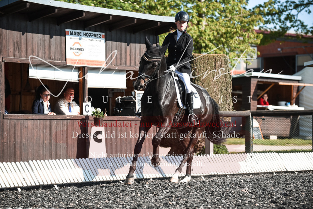 DSC_8341 | Pferde- und Turnierfotografie in Westsachsen. Pferdeportraits, Auftragszeichnungen und intuitive Kunst.