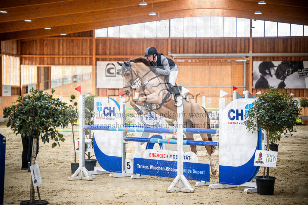 DOS_0658 | Entdecke hochwertige Reitturnierfotos von Foto Oger. Professionell, emotional und authentisch – jetzt Lieblingsmomente im Shop bestellen.Deutschlandweite Turnierfotografie. - Realisiert mit Pictrs.com