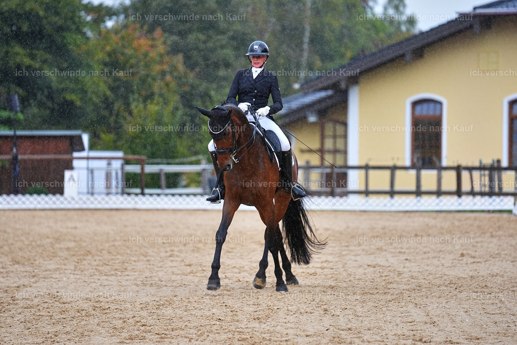 8_1-020-Klasse S_  -Marixx-4359 | working equitationturnier fotograf videograf stoibphotography marixx film working equitation deutschland reitsport turnierfotografie eventfotografie equestrian events