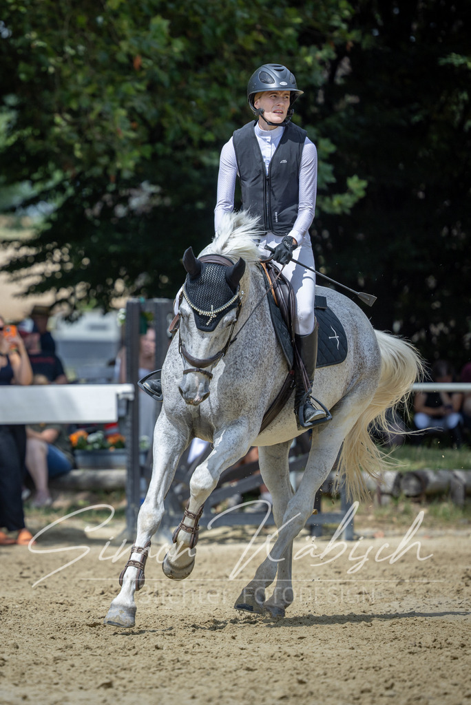 20260704-_3LI0568 | Tierfotografie Pferde, Hunde, Katzen, Haustiere.
Turnierfotografie Reitturniere, Reiten, Springreiten, Dressur in Hanau, dem Main-Kinzig-Kreis und dem Rhein-Main- Gebiet um Frankfurt