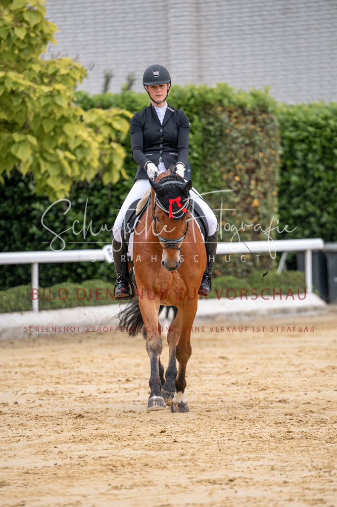 Schugtsche-Aluta25-41.Amat-Dressurprf.A_-77 | Schugtsche Fotografie - Realisiert mit Pictrs.com