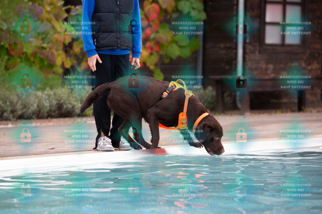 _HP_7561_1000o | HetPix, HetPix Fotodesign, Fotografie, Fotodesign, Webshop, Sportfotografie, Portraitfotografie, Onlineshop, Sportfotografie, Polch, Motorsportfotografie, Eventfotografie