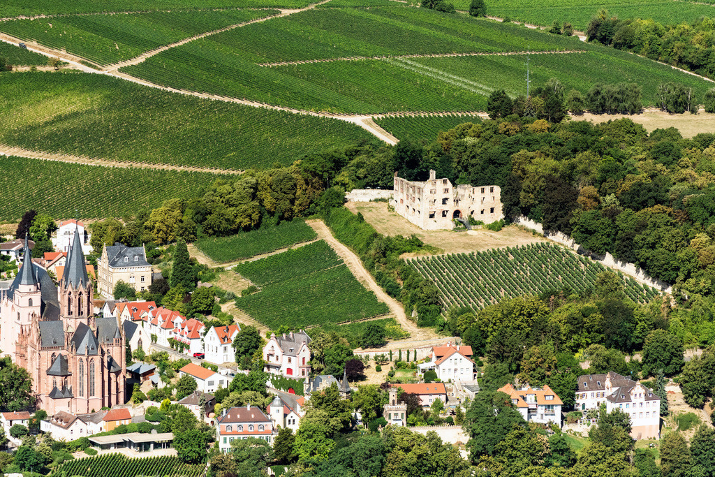 dr__0010935.jpg | OPPENHEIM 18.07.2018 Ruine und Mauerreste der ehemaligen Burganlage und Feste Burg Landskron und Katharinenkirche in Oppenheim im Bundesland Rheinland-Pfalz, Deutschland. // Ruins and vestiges of the former castle and fortress Burg Landskron and Katharinenkirche in Oppenheim in the state Rhineland-Palatinate, Germany. Foto: Daniel Reiter