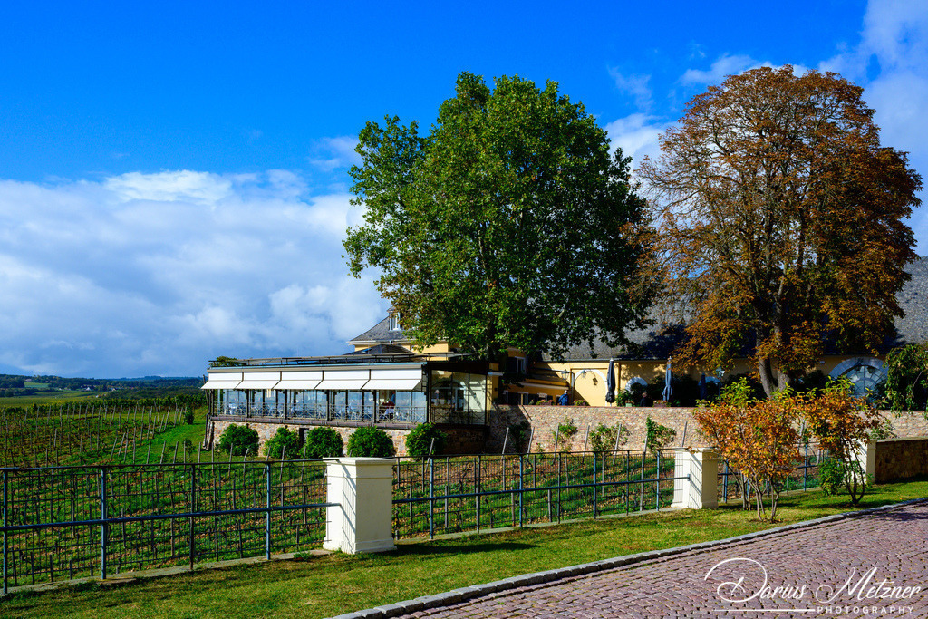 _DSC0424 | Fotografien, Fotos und Bilder aus Mainz, Frankfurt, Wiesbaden und anderen Orten auf der Welt - Fotografiert von Darius Metzner