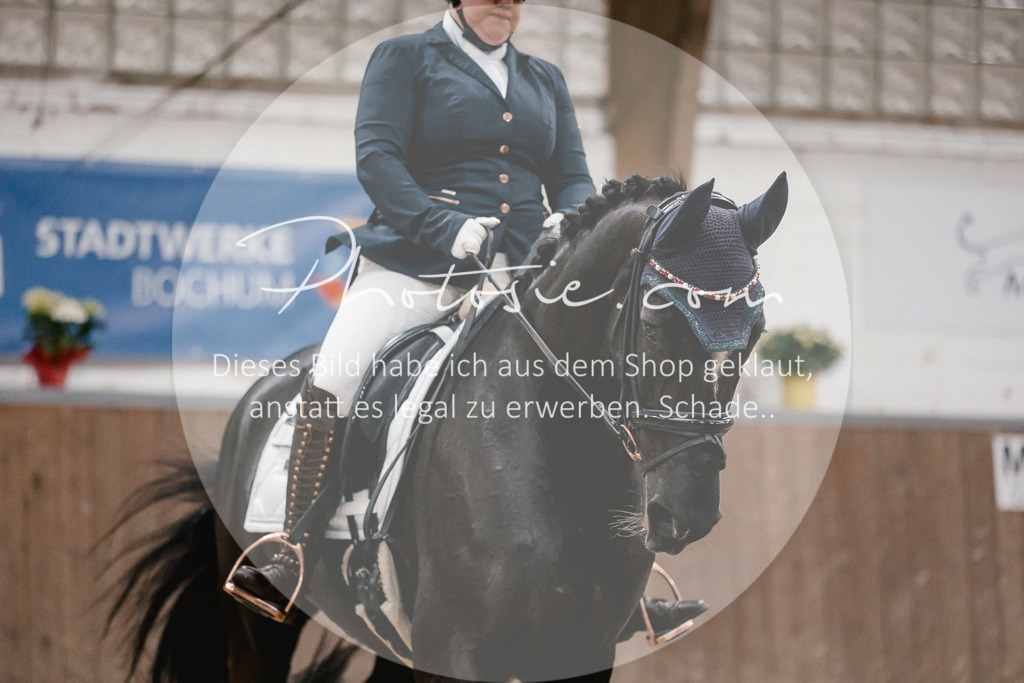 3I6A6013 | Stimmungsvolle Portraits und Reitsportfotografie im Ruhrgebiet und im Münsterland.

Pferdefotografie, Hundefotografie, Tierfotografie, Reportagen, Portraits von Tier und Mensch, Turnierfotografie in Bochum, Recklinghausen, Marl, Haltern am See, Dülmen.. - Realisiert mit Pictrs.com