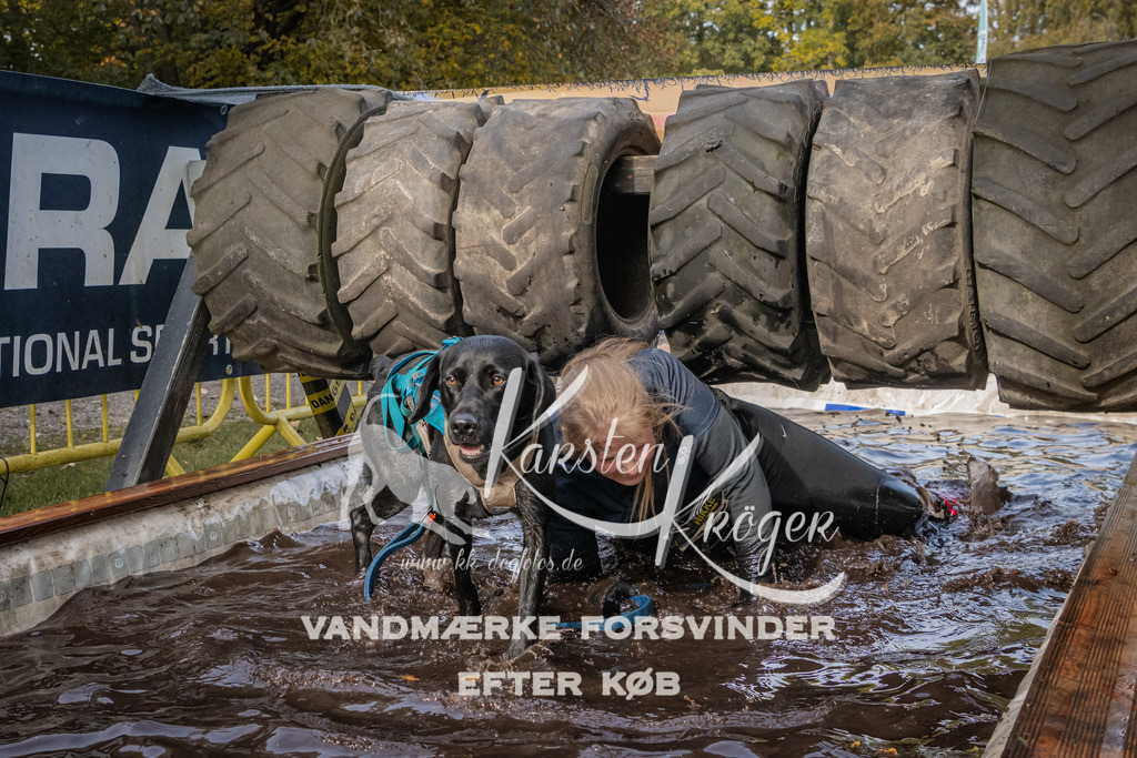 1422_ZZ94376 | kk-dogfotos
