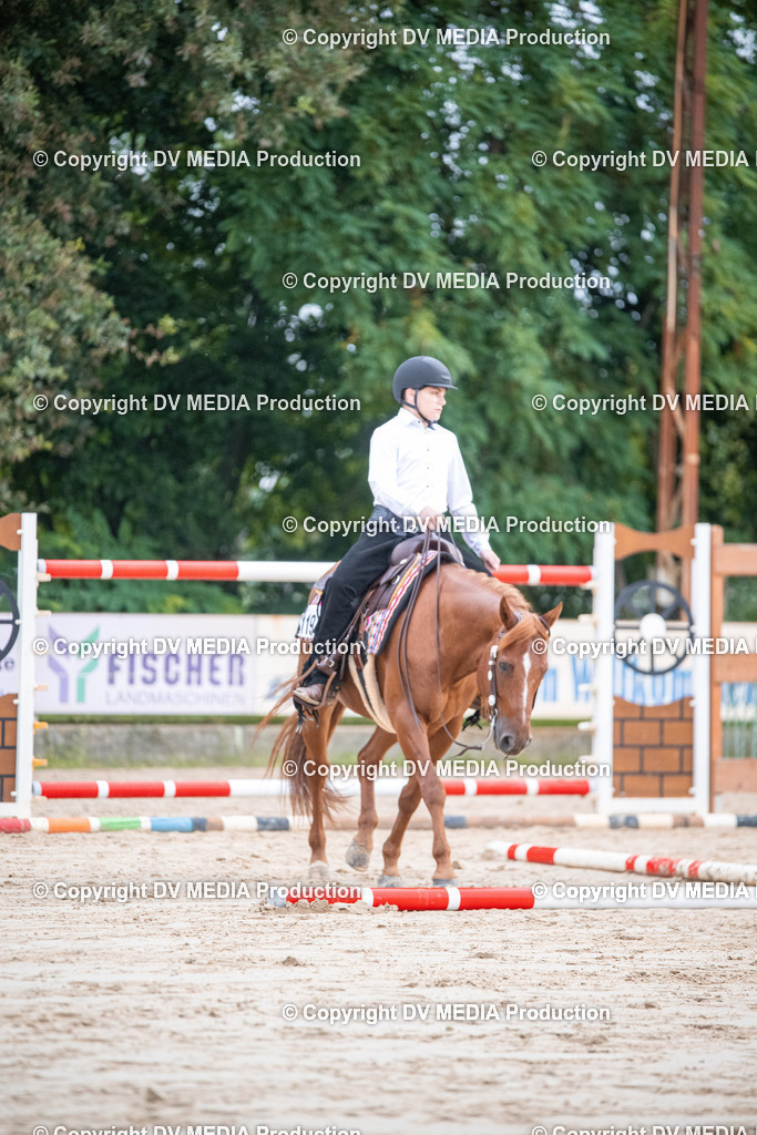 ZS3_4511 | dv-media-shop - Realisiert mit Pictrs.com