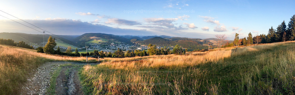 Foto im Panoramaformat zeigt herbstliche Naturlandschaft Ettelsberg in Willingen.  | Panorama Bild von herbstlicher Landschaft auf dem Ettelsberg in Willingen Upland. Blick auf die gegenüberliegenden Hügel mit Häusern. Im Vordergrund sind die Seile der Ettelsberg Seilbahn und Gräser sowie Heidekraut zu sehen. 