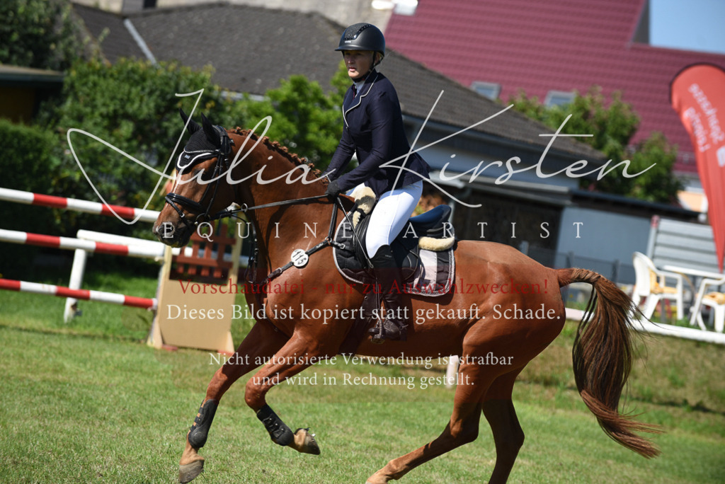 DSC_9210 | Pferde- und Turnierfotografie in Westsachsen. Pferdeportraits, Auftragszeichnungen und intuitive Kunst.