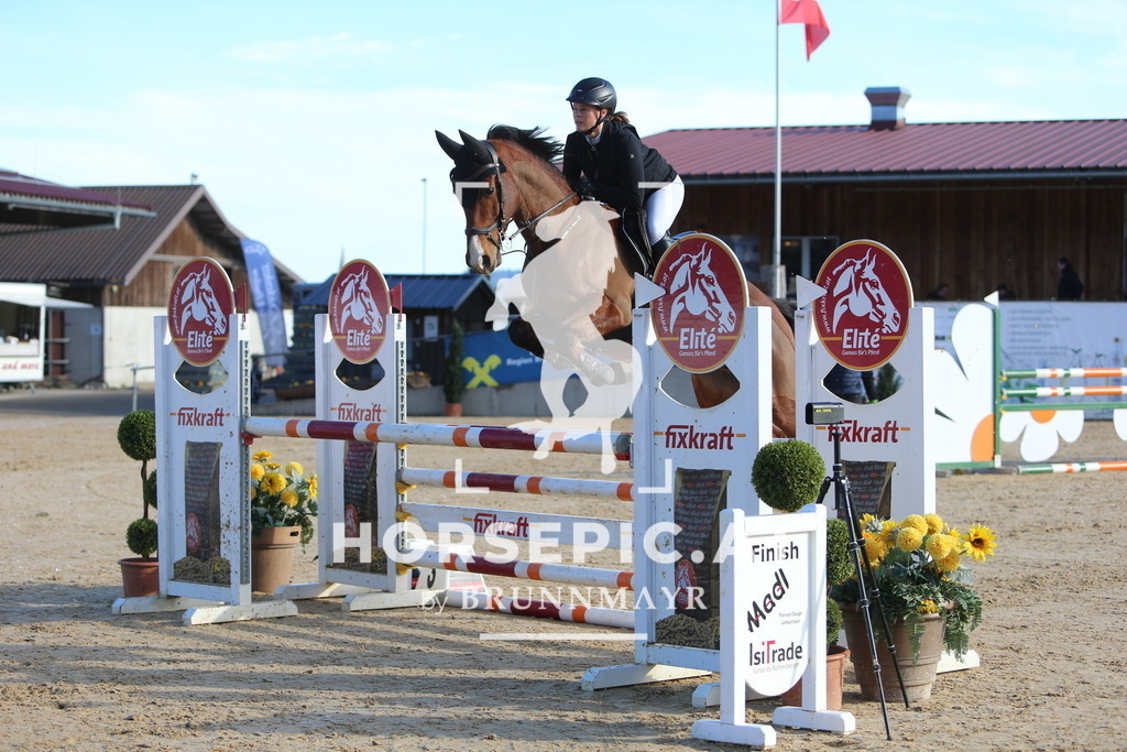 DL2Q3703 | Willkommen bei Brunnmayr - Design & Fotografie – Ihrem Spezialisten für Reitturniere und Pferdeveranstaltungen in Oberösterreich, Salzburg und Bayern! Seit über 17 Jahren sind wir leidenschaftlich dabei.