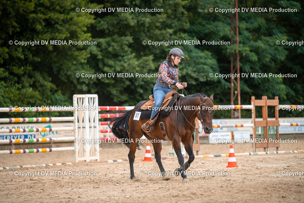 ZS2_8565 | dv-media-shop - Realisiert mit Pictrs.com