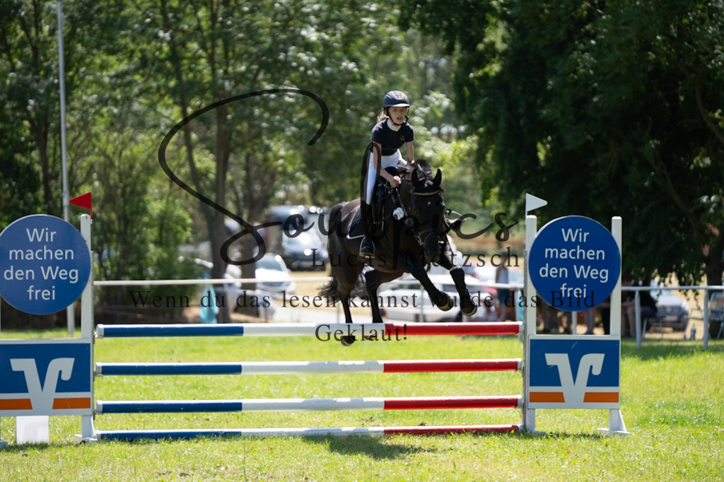 A7V05973 | Pferdefotograf