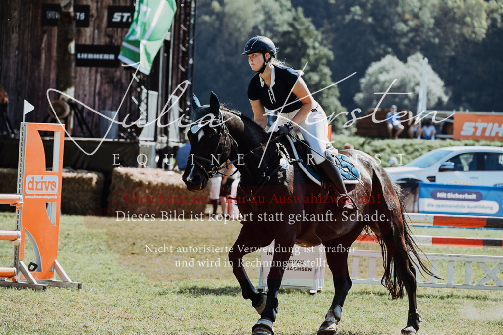 DSC_5986 | Pferde- und Turnierfotografie in Westsachsen. Pferdeportraits, Auftragszeichnungen und intuitive Kunst.